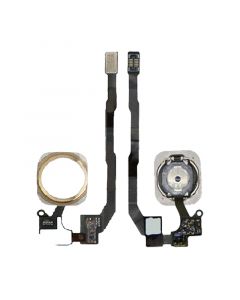 Home Button with Flex Cable for iPhone 5S/SE(2016)(Gold)